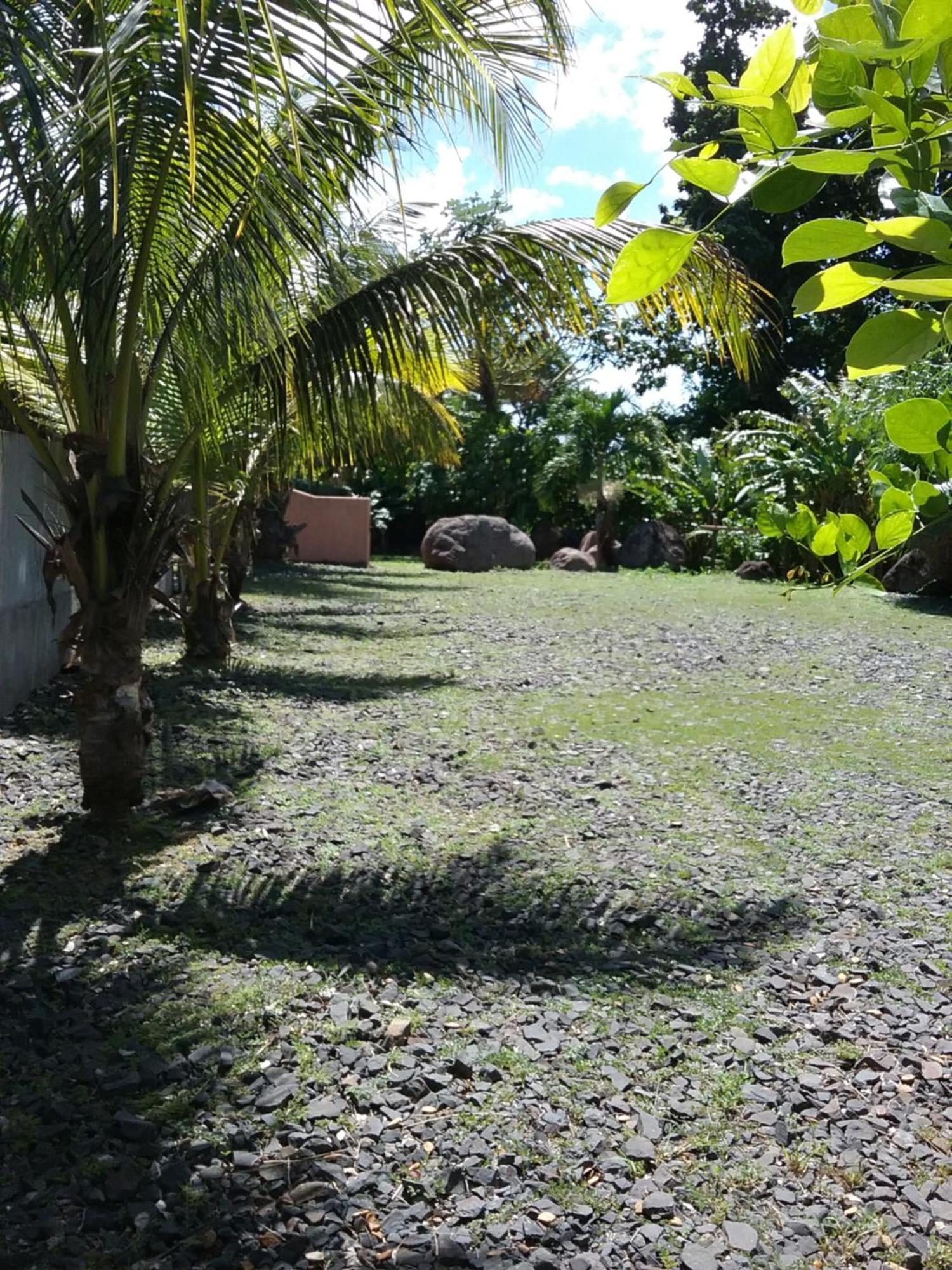 Dadi'S Little Paradis Sainte-Rose Extérieur photo