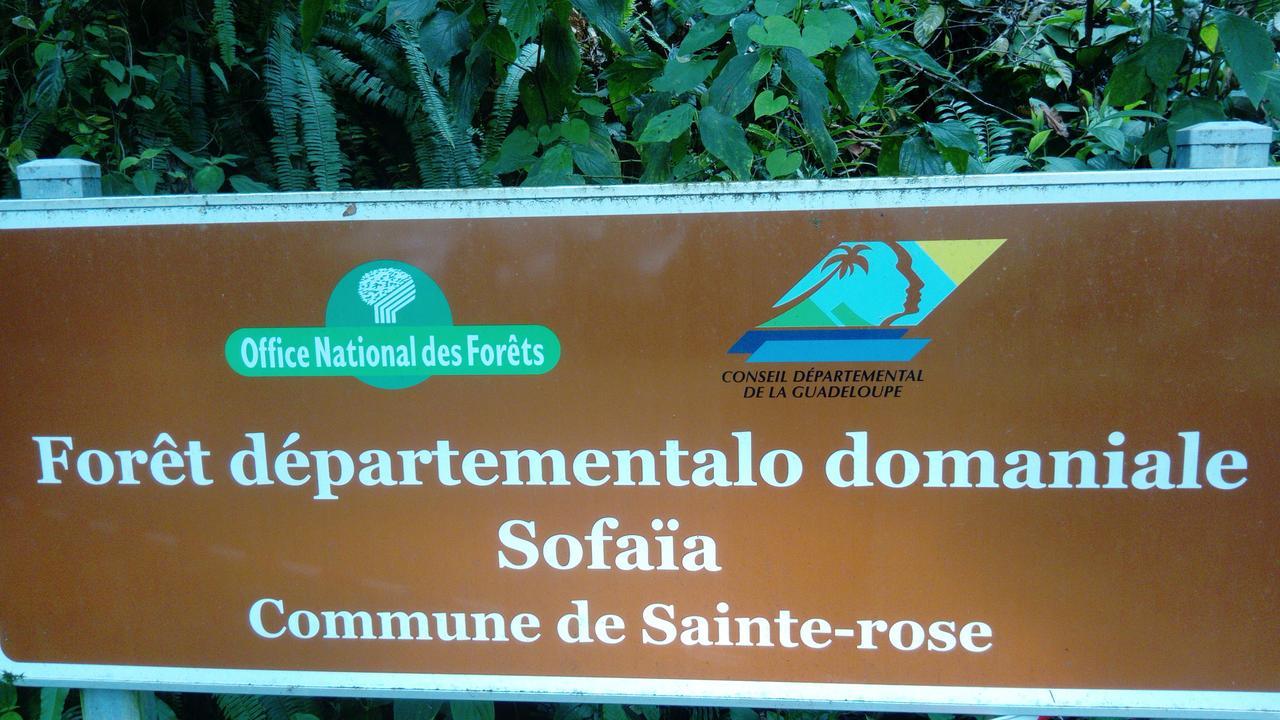 Dadi'S Little Paradis Sainte-Rose Extérieur photo